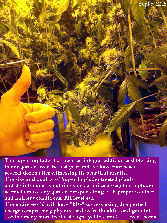 Super Imploder treated plants is nothing short of miraculous
