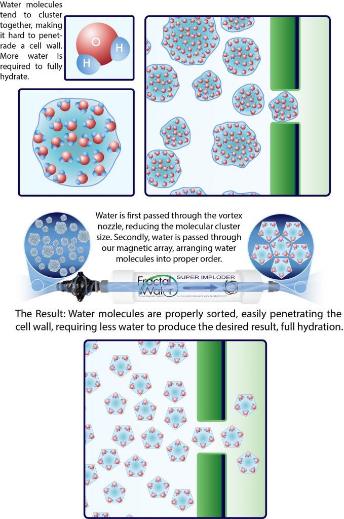 Water – Fractal Vortex Magnetic Structured Water